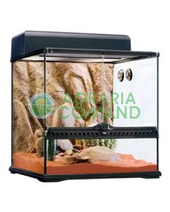 KIT HÁBITAT DESIERTO MEDIO